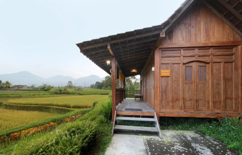 Working remotely from Pondok Peneng Baturiti