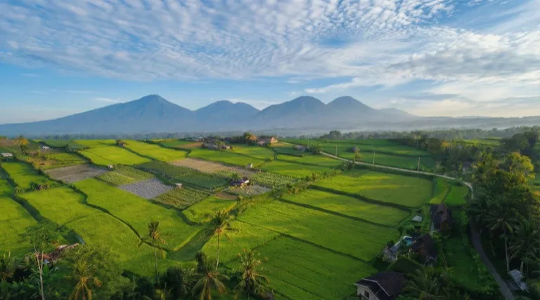 Pondok Peneng highlands versus South Bali